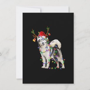 Invitation Sibérie Husky Chien Tree lumières Noël Noël Noël N