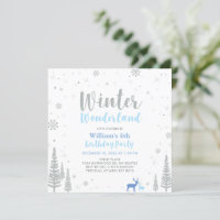 Silver & Blue Winter Wonderland Boy Birthday Party