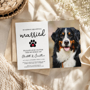 Invitation Simple Moderne Photo Amour de Chien Mariage d'Anim