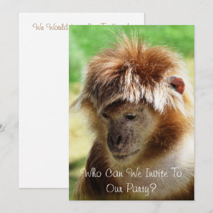 INVITATION SINGES