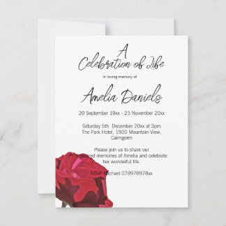 Invitation Single Red Rose Celebration of Life  Card