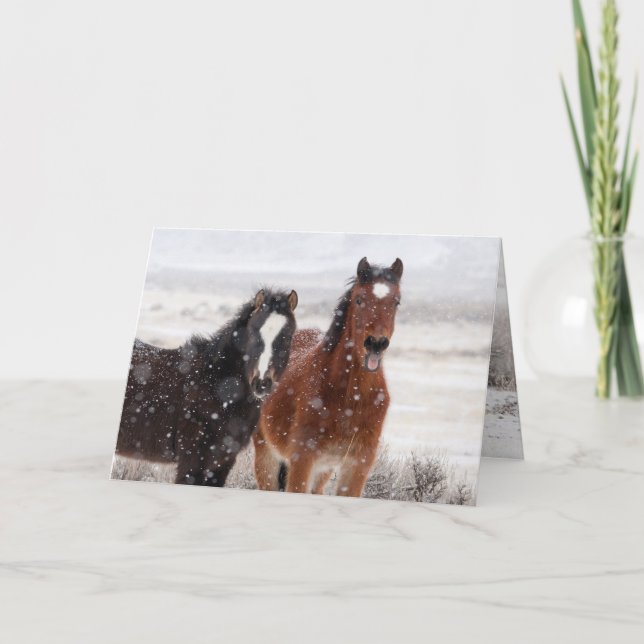 Invitation Snow Colts Greeting Card (Devant)