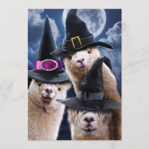 Invitation Sorcières d'Alpaca