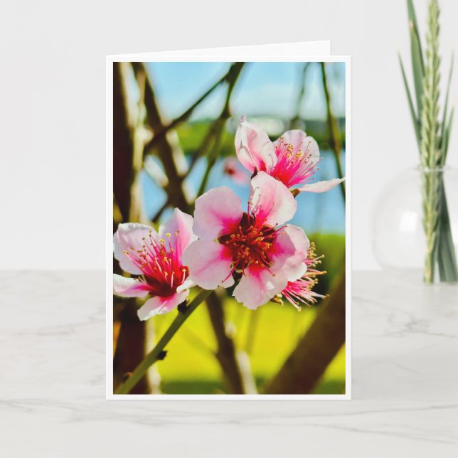 Invitation Spring Blossoms Blank Card (Devant)