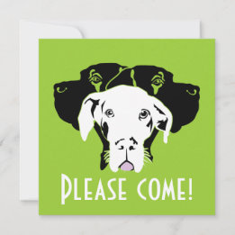 Invitation Sueur Grand Danois Visages | Doggenhaus