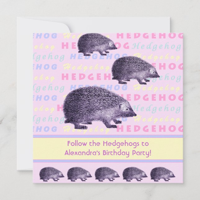 Invitation Suivez la fête d'anniversaire de la petite fille d (Devant)