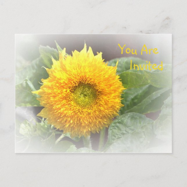Invitation Sunflower (Front)