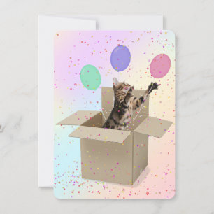 Invitation Surprise Anniversaire Fête Bengale chat en boîte