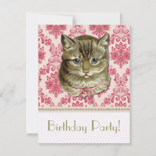 Invitation Tabby
