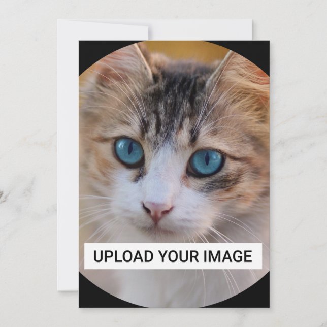 Invitation Téléchargez votre photo Cute Cat (Devant)