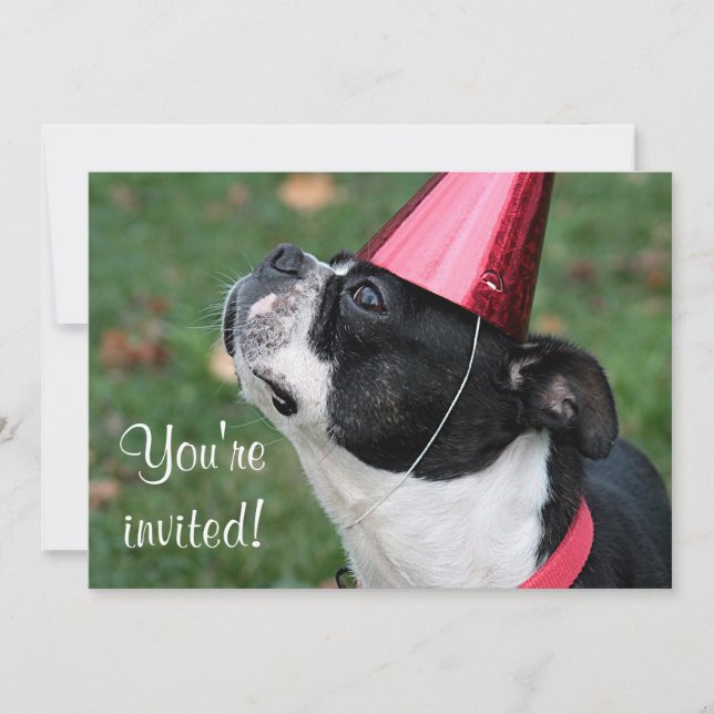 Invitation Terrier de Boston (Devant)
