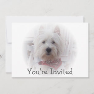 Invitation Terrier West Highland