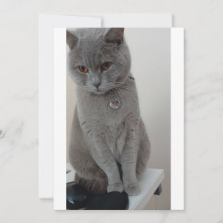 Invitation test de chat