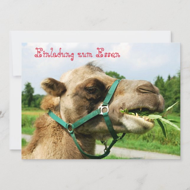 invitation to dinner (Front)