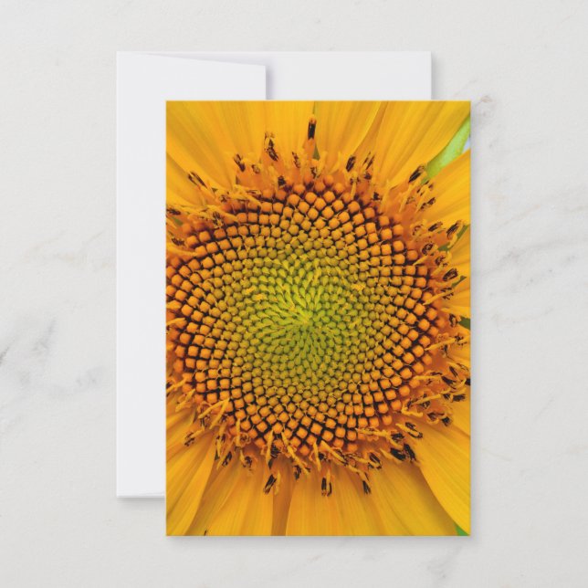 Invitation Tournesol (Devant)