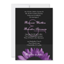 Tournesol pourpre épousant Ver 002