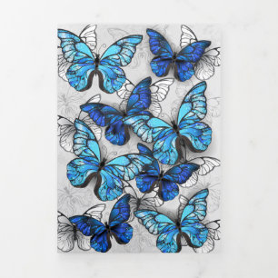 Invitation Trois Volets Composition des White and Blue Butterflies