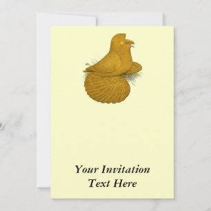 Invitation Trumpeter Pigeon Jaune