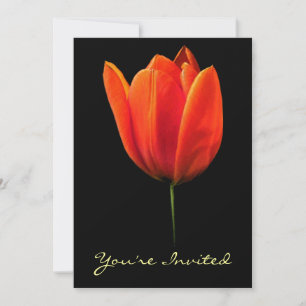 Invitation Tulip