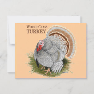 Invitation Turquie : Classe mondiale