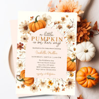 Un Petit Citrouille Automne Automne Automne Baby s