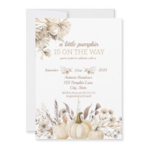 Un Petit Citrouille Est En Route 