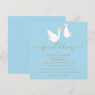 Invitation Une Fête de Bébé Stork Livraison Spéciale / Shower