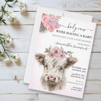 Vache Sainte Blanche Rose Veau des Highlands Baby