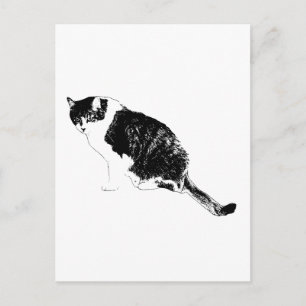Invitation vectorielle de chat noir avec des notes
