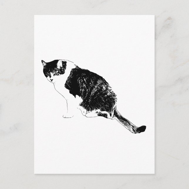 Invitation vectorielle de chat noir avec des notes (Devant)