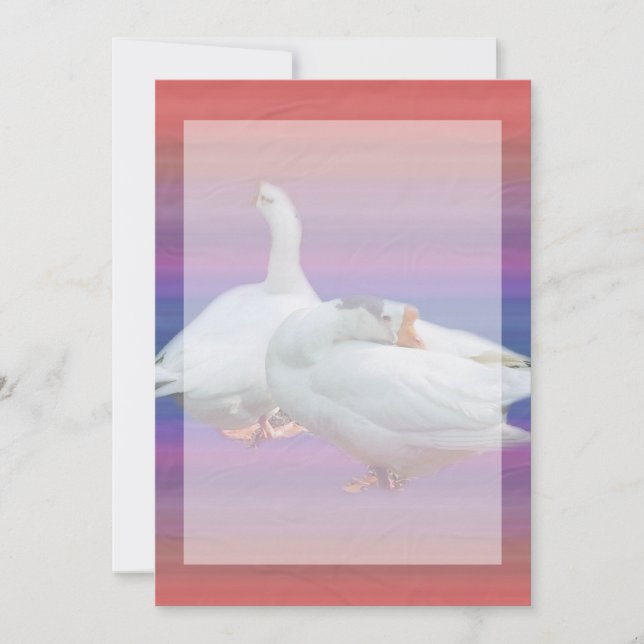 invitation vierge, toutes fins (Devant)