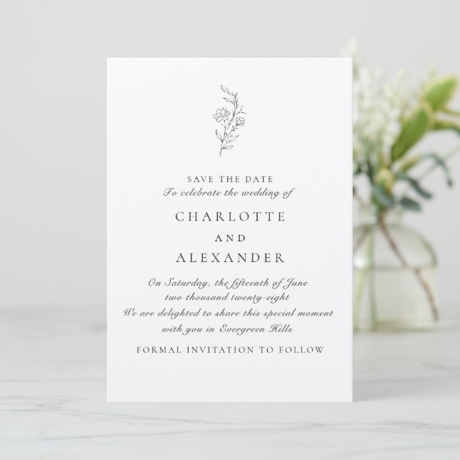 Invitation Vieux argent Esthétique, transparent bg enregistre (Debout devant)