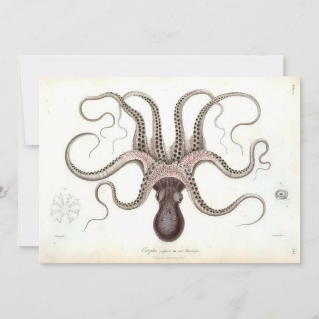Invitation vintage de poulpe (Devant)