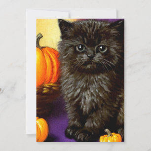Invitation Vintage Halloween Kitten