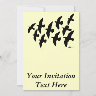 Invitation Vol de pigeons