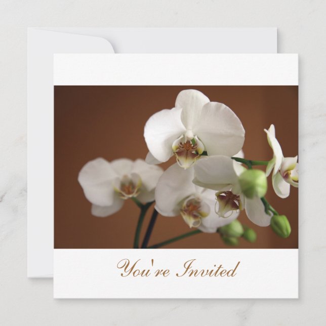 Invitation Vous êtes invité (Devant)