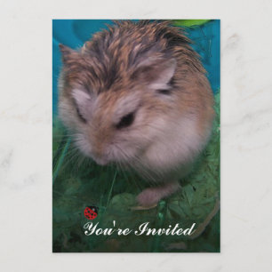 Invitation Vous êtes invité