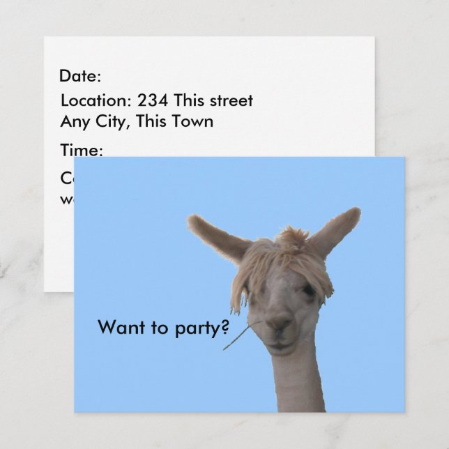 Invitation - Vous voulez faire la fête ? (Devant / Derrière)