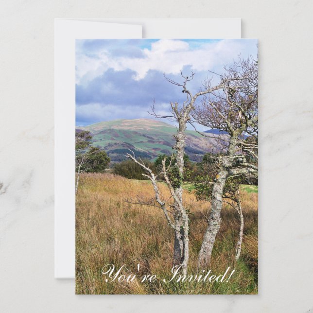 INVITATION VUES DES ALLES (Devant)