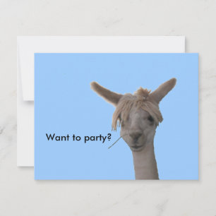 Invitation -  Want to party?