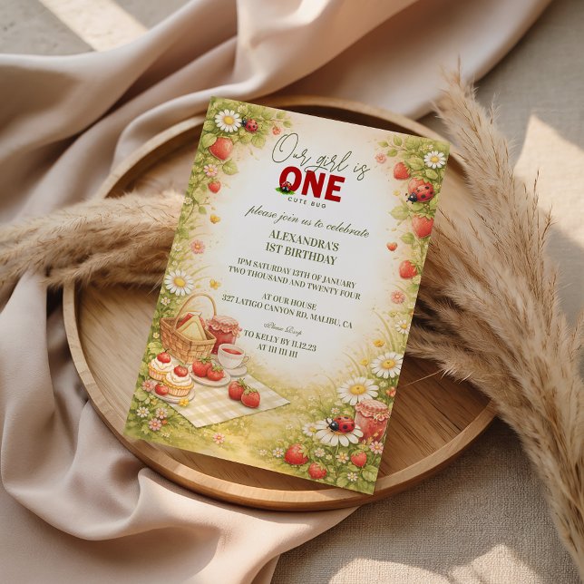 Invitation Whimsical Meadow Lady Bug 1st Birthday (Créateur téléchargé)