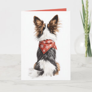 Invitation Whiskers d'hiver