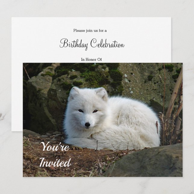 Invitation White Fox Photo Anniversaire (Devant / Derrière)