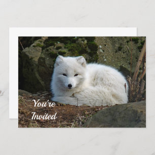 Invitation White Fox Photo Anniversaire