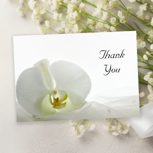 Invitation White Orchid and Veil Flat Merci Notes