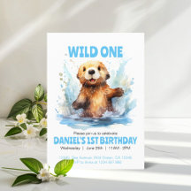 Wild One mignonne Baby Sea Otter dans l'eau 1er an