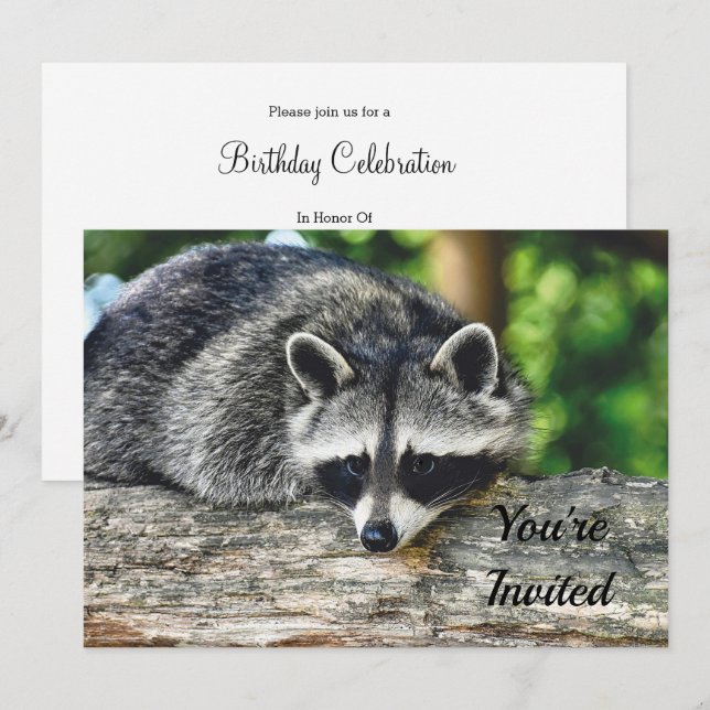 Invitation Wildlife Raccoon Log Mammal Photo Anniversaire (Devant / Derrière)