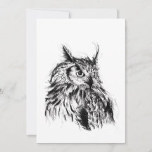 Wisdom Owl