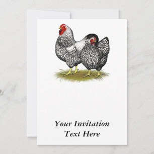 Invitation Wyandotte : Paire d'argent