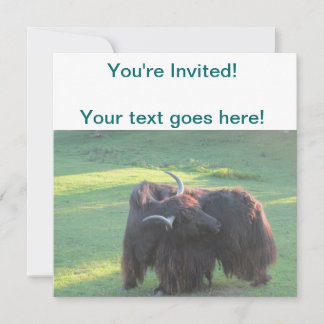 Invitation Yaks